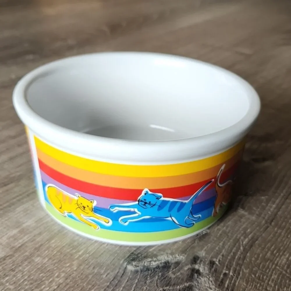 Cat Rainbow Riviera Van Beers Stoneware Cat Bowl NWOT